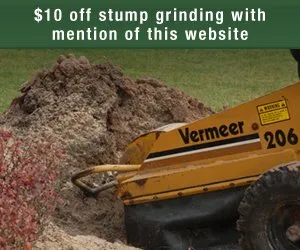 Affordable landscape installation for residential properties across Amarillo, TX - Affordable Stump Grinding