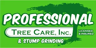 Local landscape design for year-round maintenance across Amarillo, TX - Affordable Stump Grinding