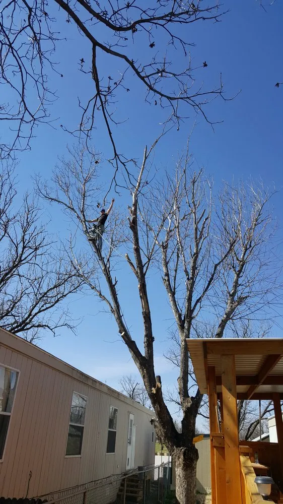 Local landscape installation experts serving Amarillo, TX - Affordable Stump Grinding