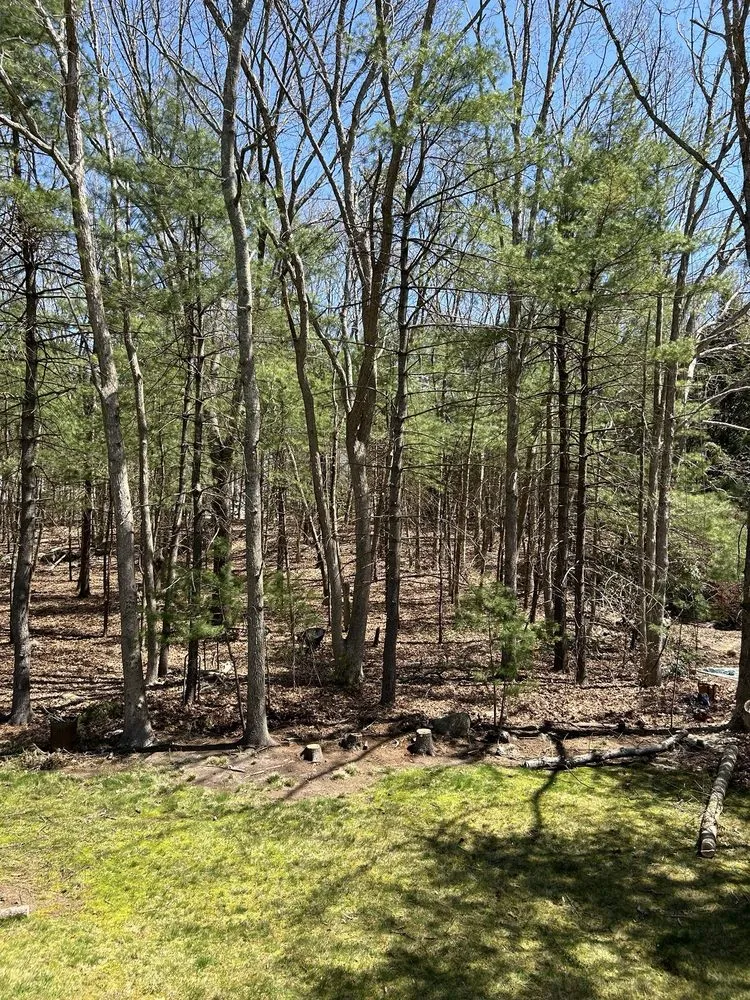 Reliable landscape design in West Warwick, RI - Affordable Stump Grinding and Property Management