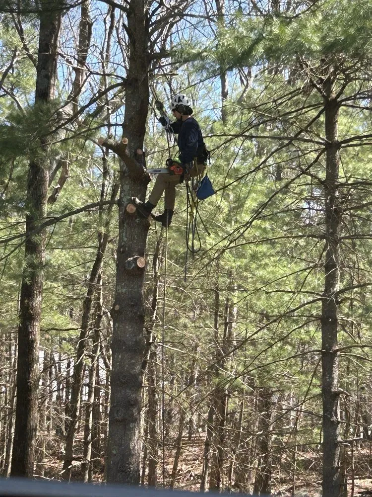 Affordable landscape installation in West Warwick, RI by Affordable Stump Grinding and Property Management