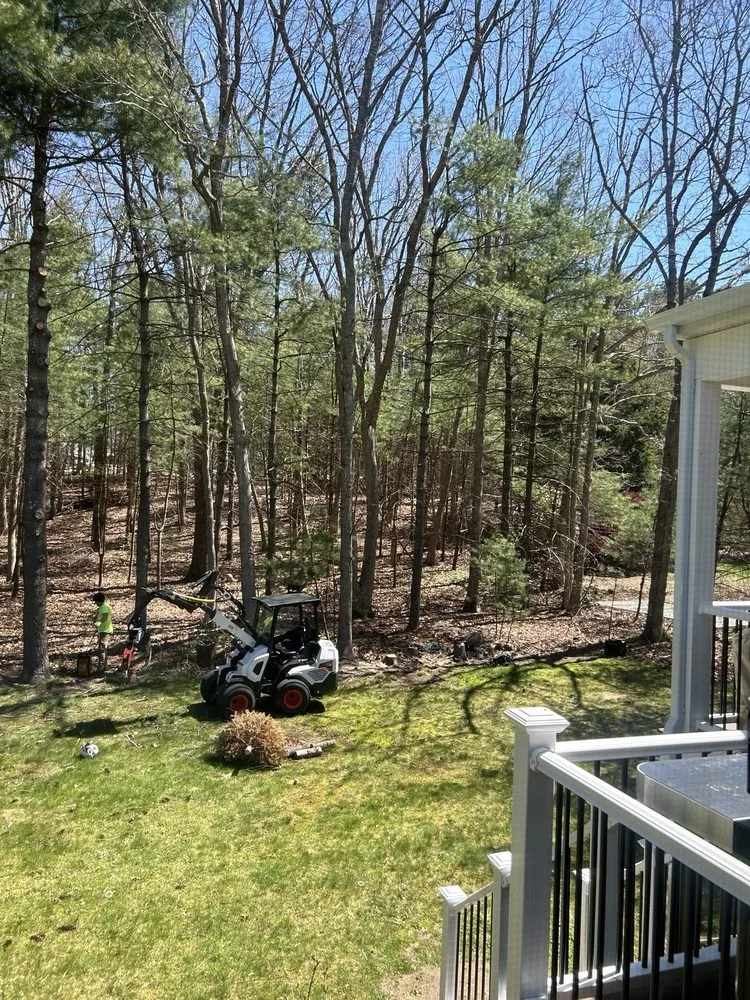 Trusted landscape installation in West Warwick, RI - Affordable Stump Grinding and Property Management