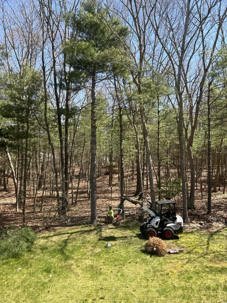 Trusted landscaping services in West Warwick, RI - Affordable Stump Grinding and Property Management