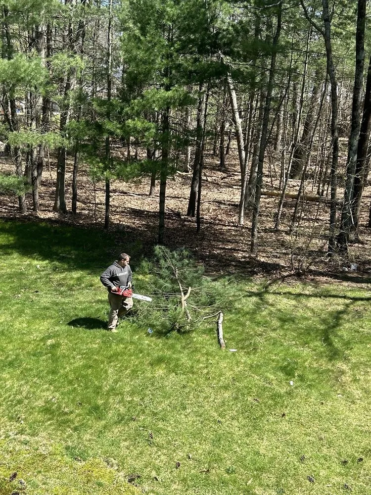 Trusted lawn mowing service with custom design across West Warwick, RI - Affordable Stump Grinding and Property Management