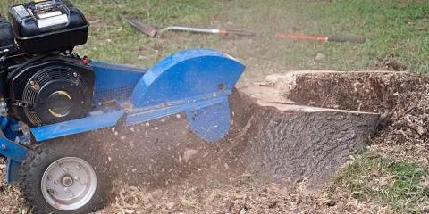 Professional landscaping services for year-round maintenance in Calico Rock, AR by Affordable Stump Grinding