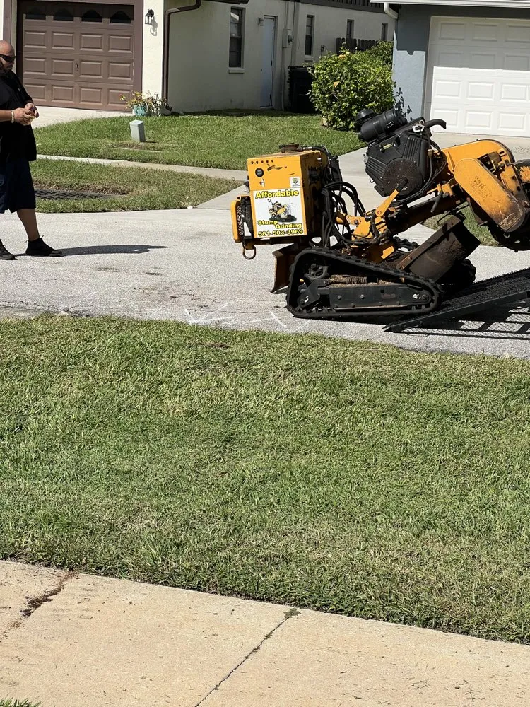 Affordable lawn mowing service in Royal Palm Beach, FL by Affordable Stump Grinding