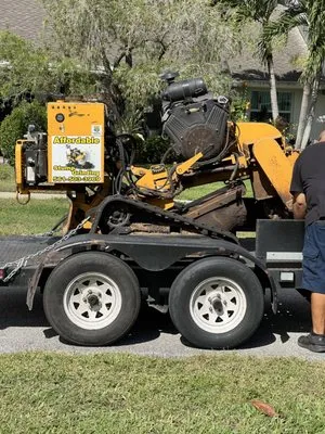 Affordable Stump Grinding Logo