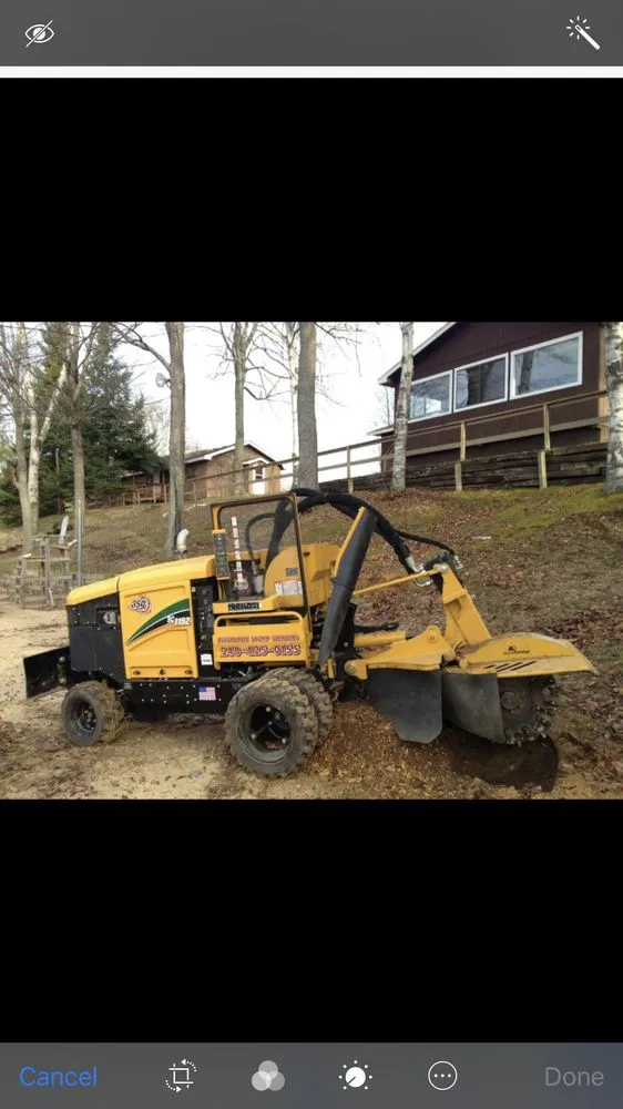 Top-rated lawn care service experts serving White Lake, MI - Affordable Stump Grinding
