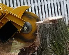 Professional yard maintenance experts serving White Lake, MI - Affordable Stump Grinding