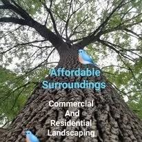 Custom yard cleanup service in The Woodlands, TX by Affordable Surroundings Landscape