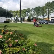 Affordable lawn care service in The Woodlands, TX by Affordable Surroundings Landscape