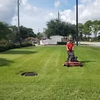 Reliable residential landscaping for beautiful yards across The Woodlands, TX - Affordable Surroundings Landscape