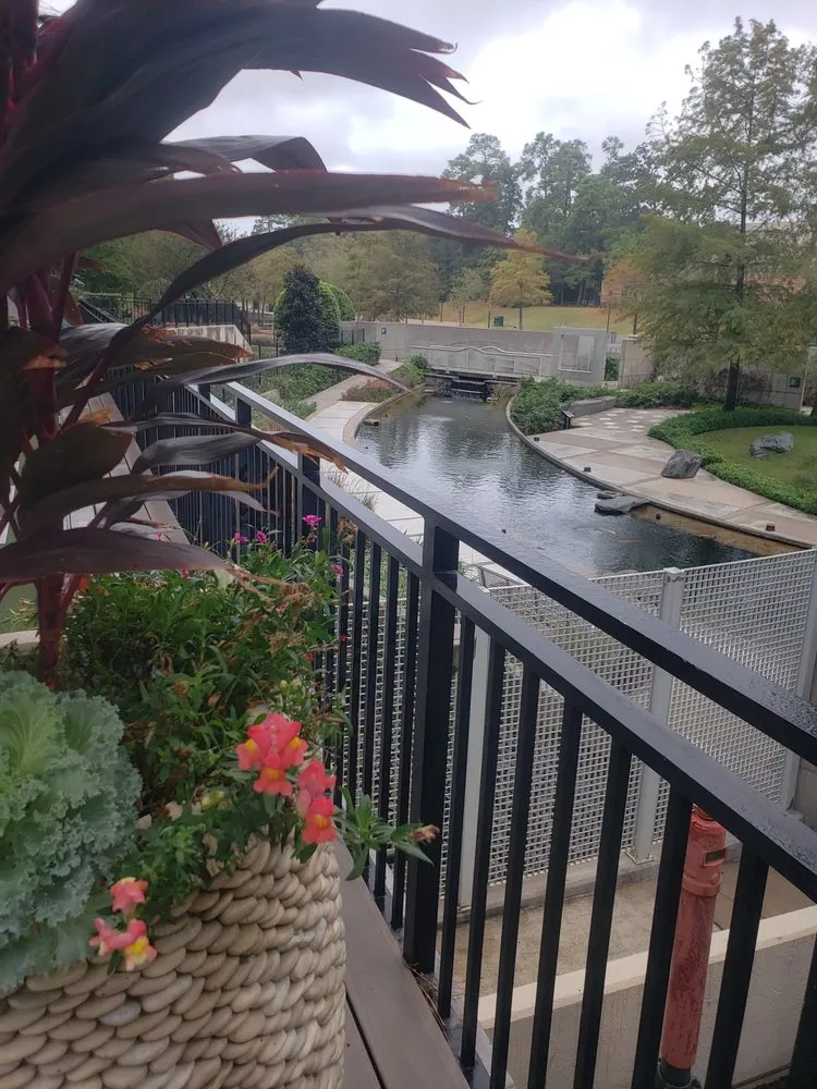 Custom lawn care service in The Woodlands, TX - Affordable Surroundings Landscape