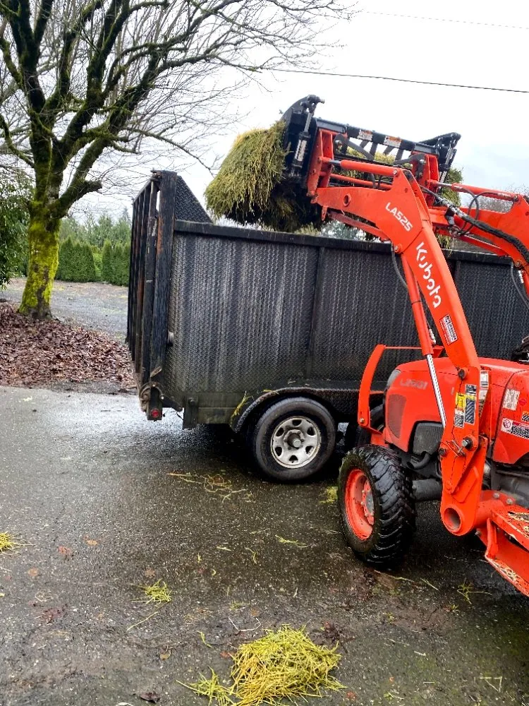 Top-rated yard maintenance experts serving Olympia, WA - Affordable Tractorwork