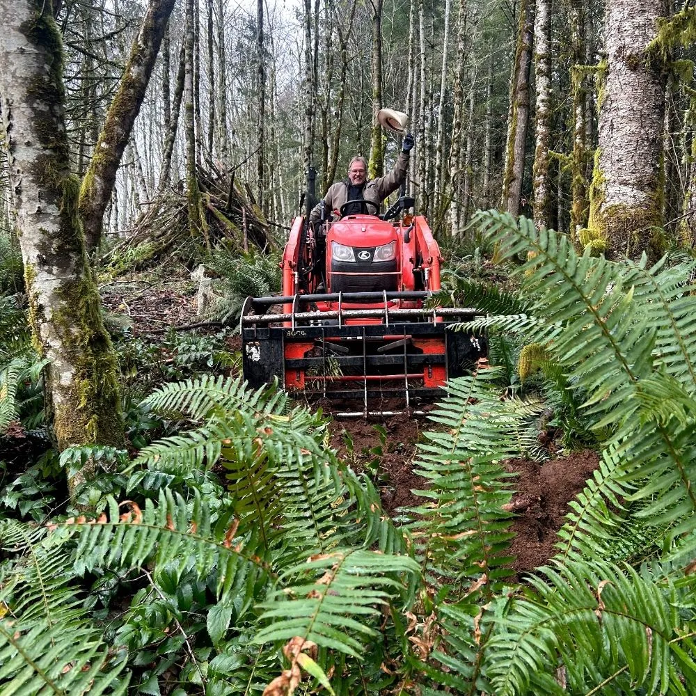 Professional garden landscaping in Olympia, WA - Affordable Tractorwork
