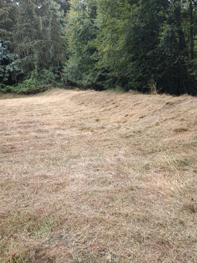 Reliable lawn mowing service in Olympia, WA - Affordable Tractorwork