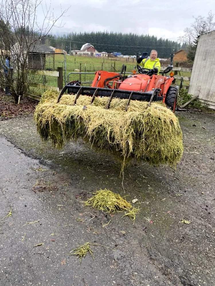 Professional garden landscaping for year-round maintenance across Olympia, WA - Affordable Tractorwork