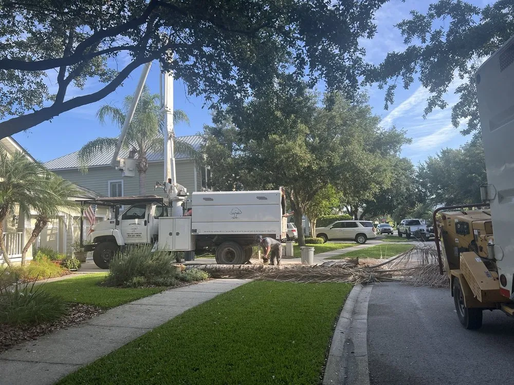 Trusted yard maintenance in St. Augustine, FL by Affordable Tree & Landscape