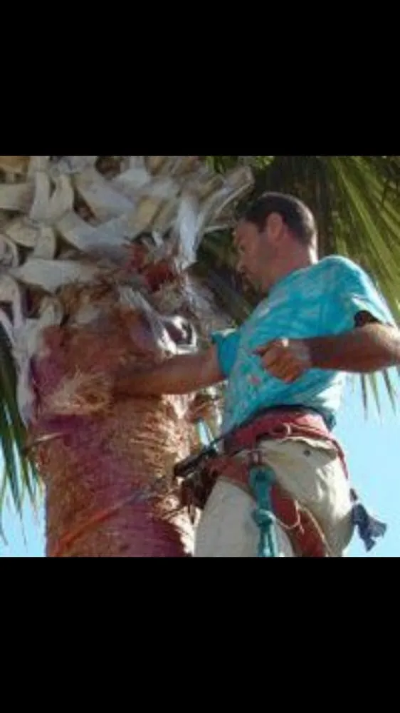 Professional residential landscaping in St. Augustine, FL by Affordable Tree & Landscape