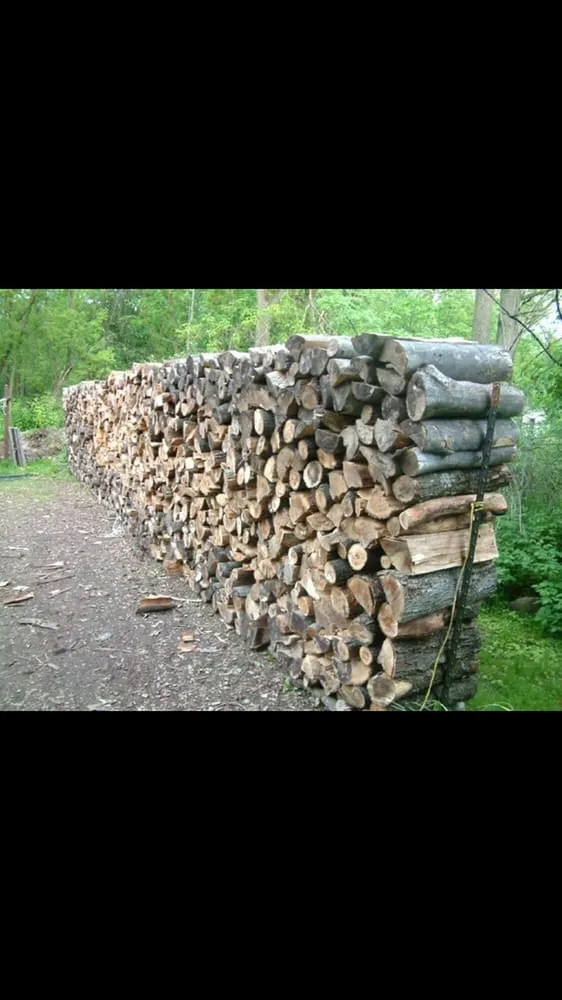 Affordable landscape design in St. Augustine, FL by Affordable Tree & Landscape