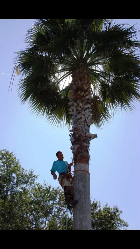 Top-rated outdoor landscaping experts serving St. Augustine, FL - Affordable Tree & Landscape