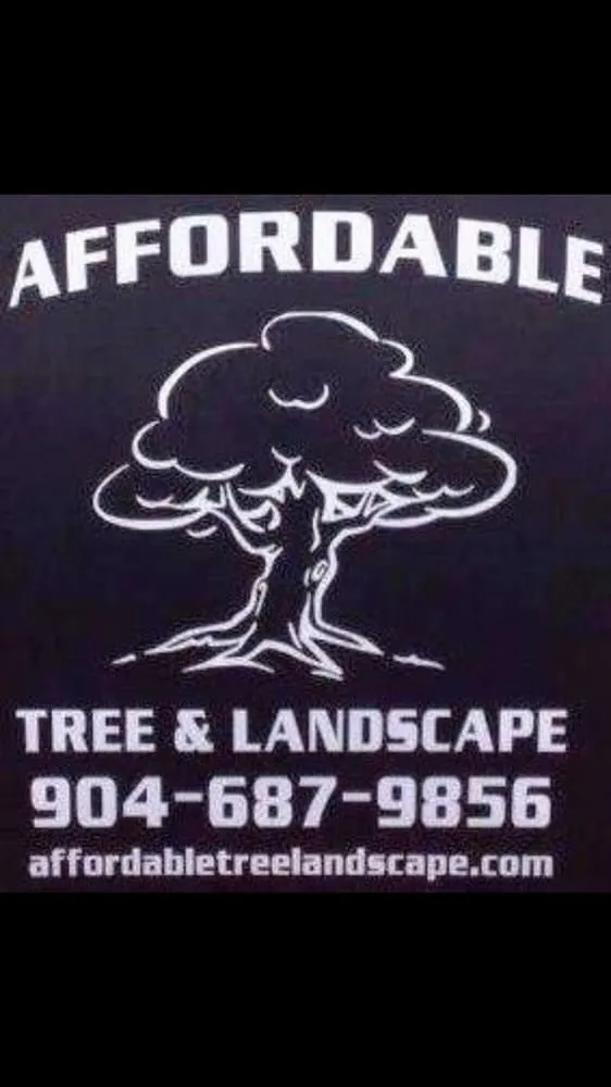 Custom yard maintenance experts serving St. Augustine, FL - Affordable Tree & Landscape