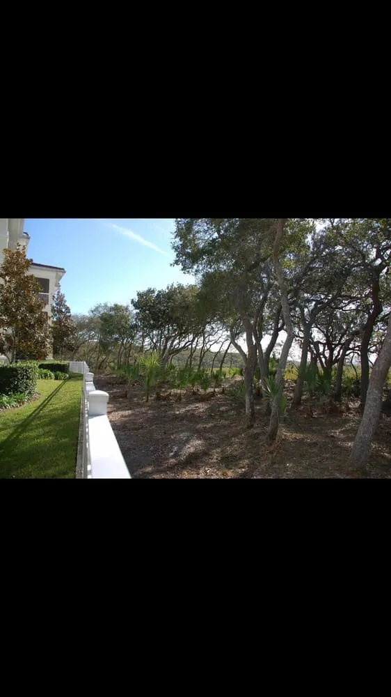 Custom yard maintenance experts serving St. Augustine, FL - Affordable Tree & Landscape