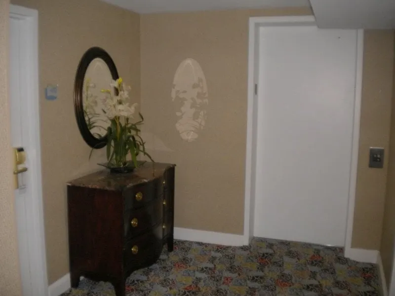 Top-rated landscape design for residential properties across St. Augustine, FL - Affordable Tree & Landscape