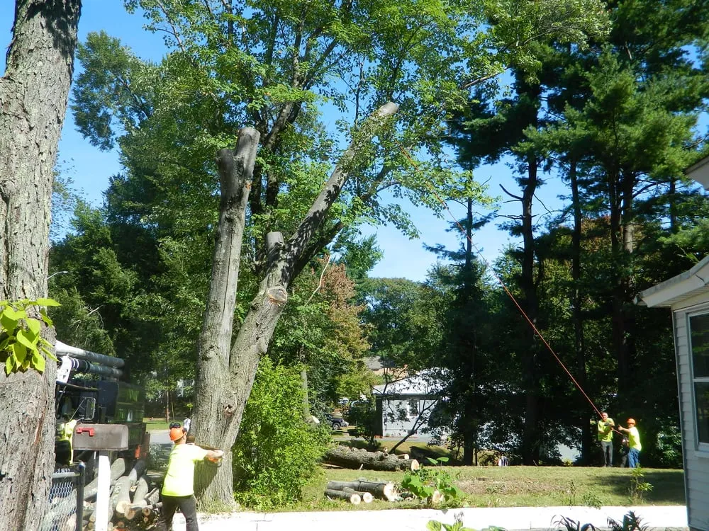 Custom outdoor landscaping experts serving Westminster, MA - Affordable Tree & Landscape