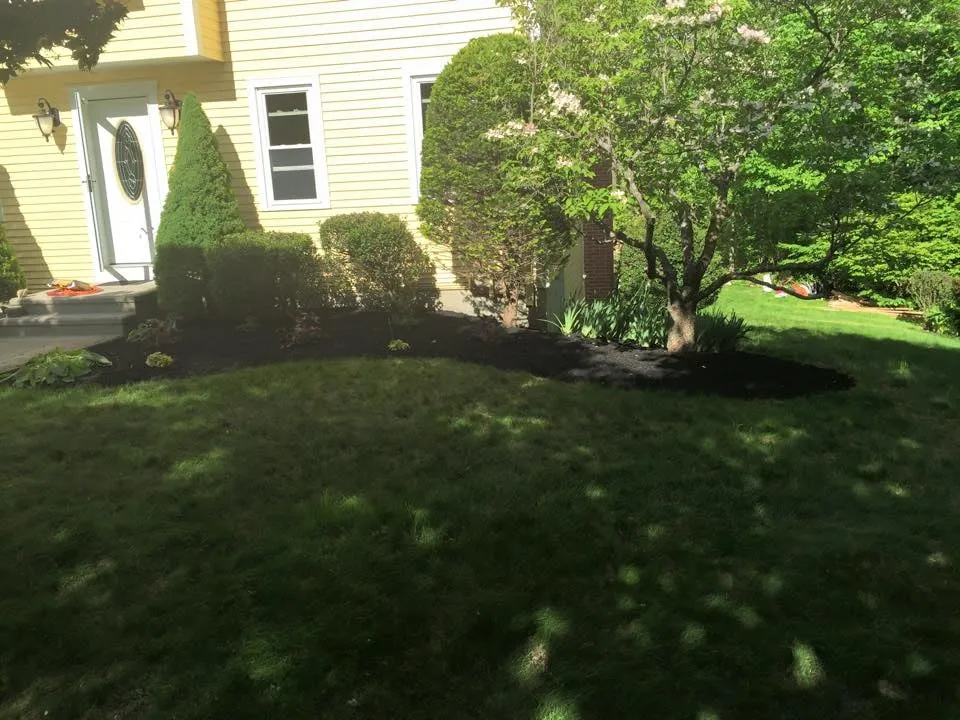 Professional lawn care service for residential properties across Westminster, MA - Affordable Tree & Landscape