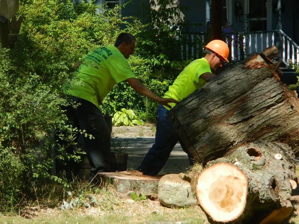 Reliable garden landscaping in Westminster, MA - Affordable Tree & Landscape