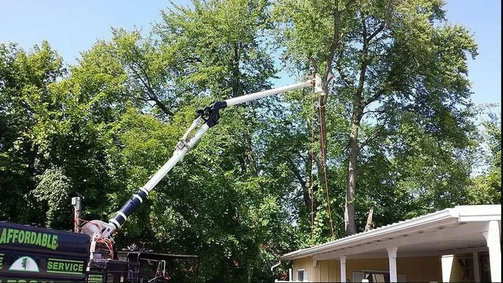 Expert garden landscaping in Westminster, MA - Affordable Tree & Landscape