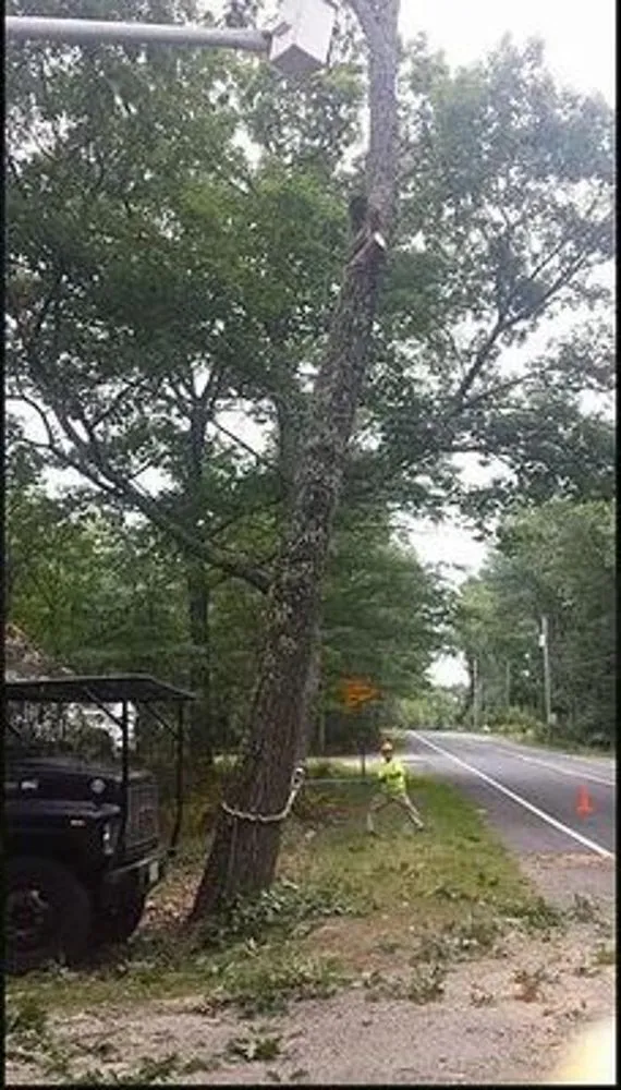 Custom lawn mowing service experts serving Westminster, MA - Affordable Tree & Landscape