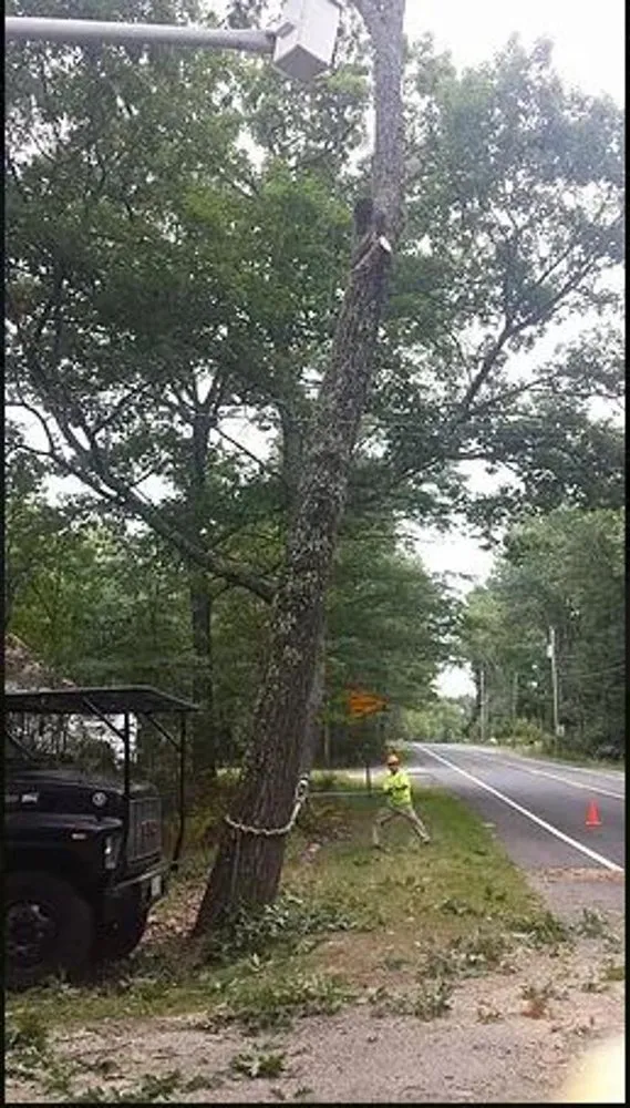 Expert lawn care service in Westminster, MA - Affordable Tree & Landscape