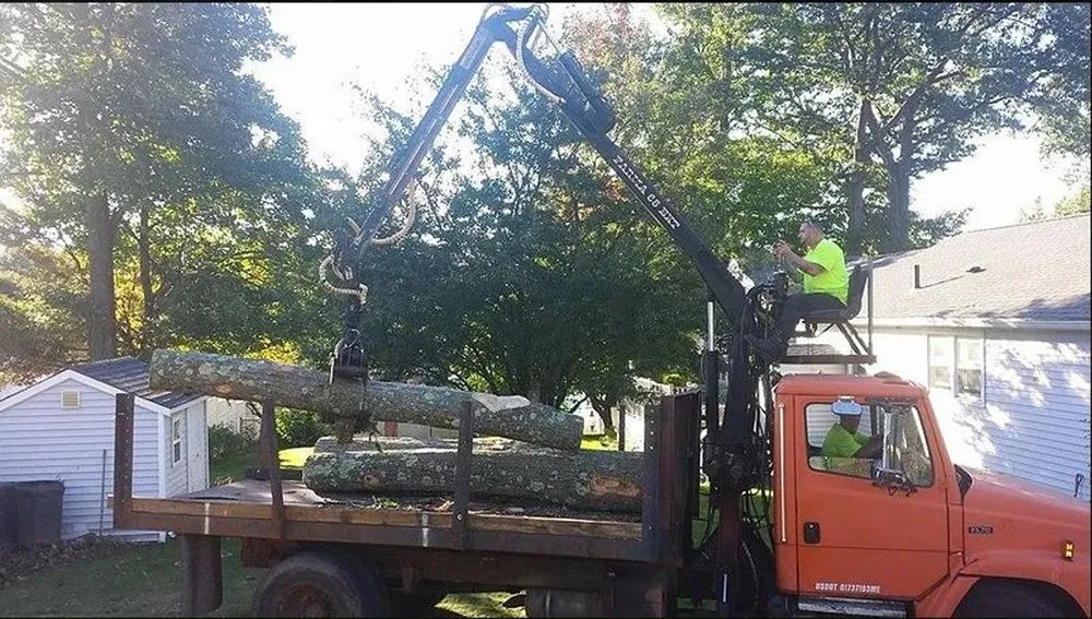 Affordable yard cleanup service in Westminster, MA - Affordable Tree & Landscape