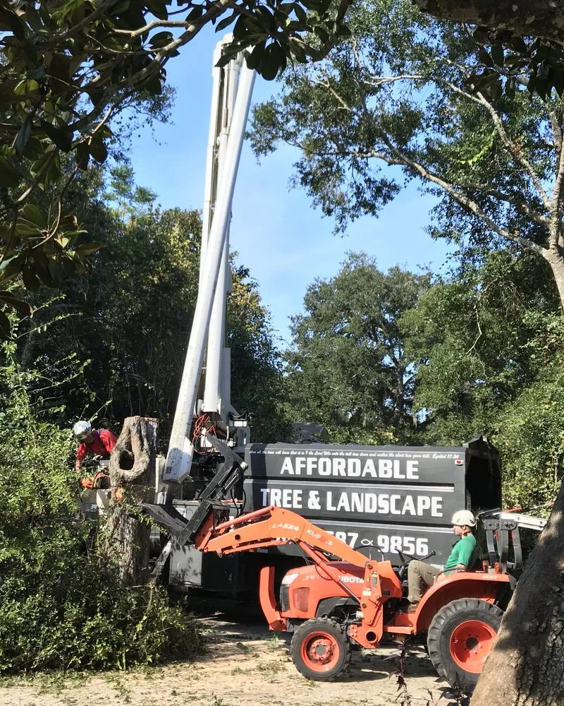 Local lawn care service for year-round maintenance across Westminster, MA - Affordable Tree & Landscape