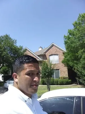 Affordable Tree Care Logo