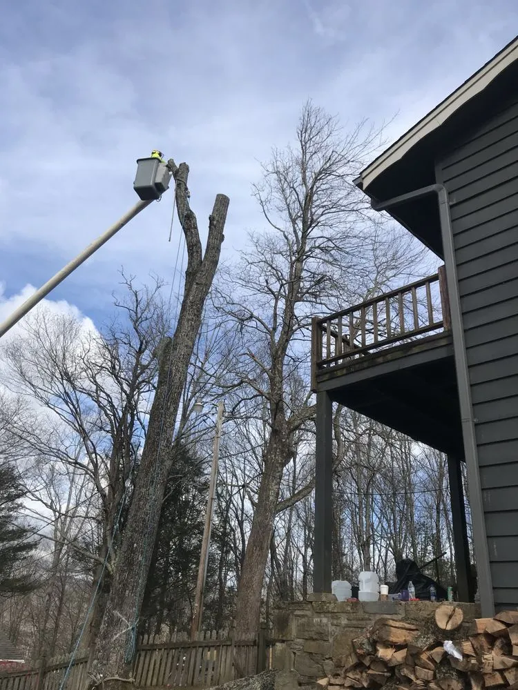 Reliable yard maintenance in Burnsville, NC by Affordable Tree Care