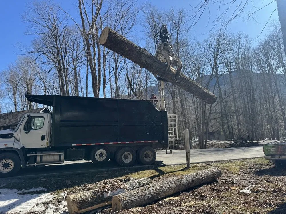 Top-rated landscape design for outdoor upgrades in Burnsville, NC by Affordable Tree Care