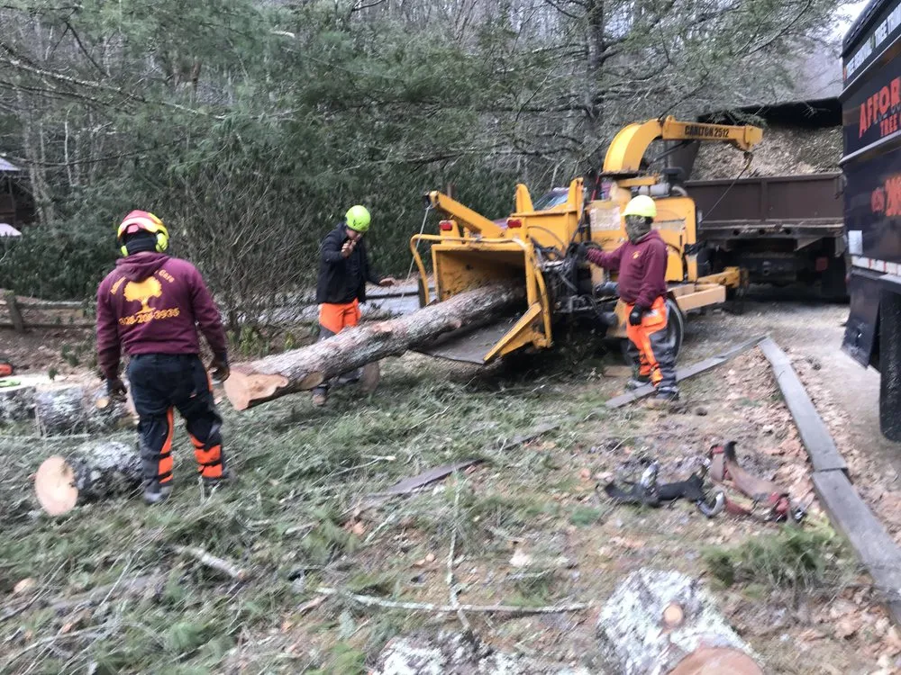 Reliable lawn mowing service in Burnsville, NC by Affordable Tree Care