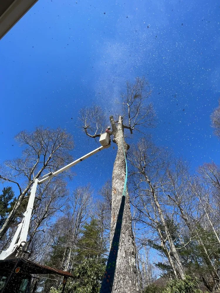 Custom landscaping services experts serving Burnsville, NC - Affordable Tree Care