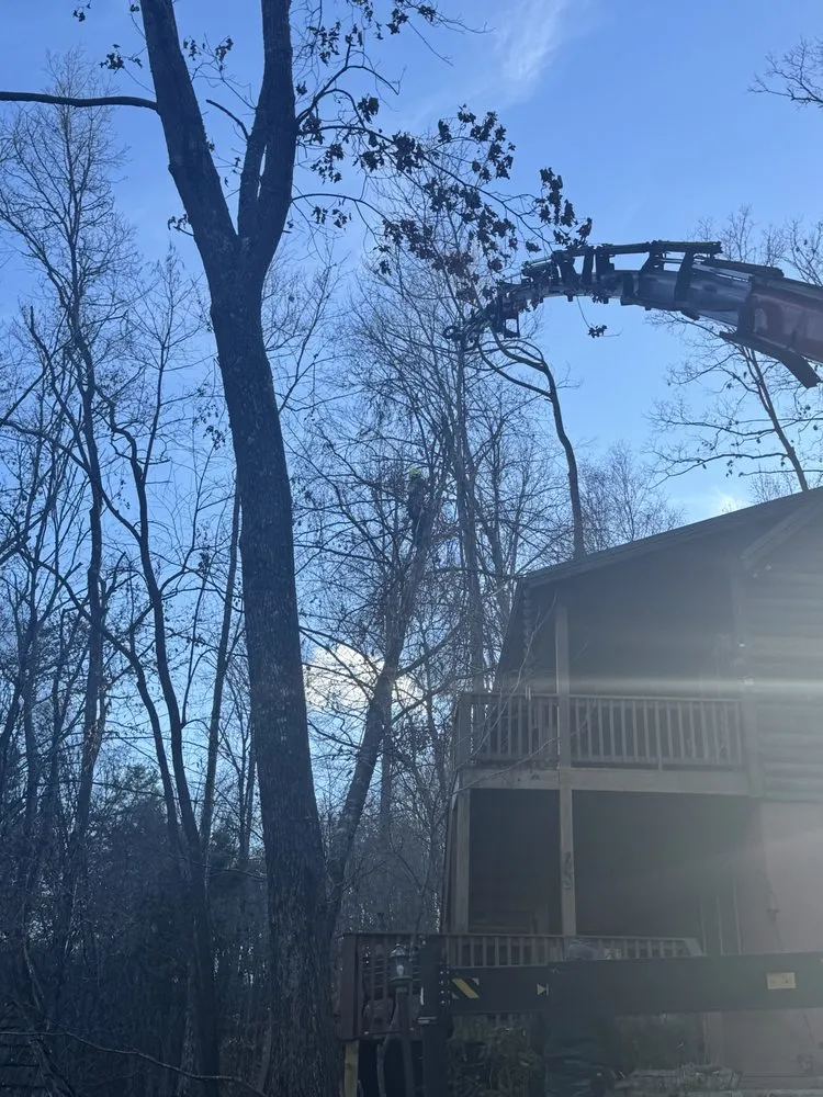 Custom yard cleanup service experts serving Burnsville, NC - Affordable Tree Care