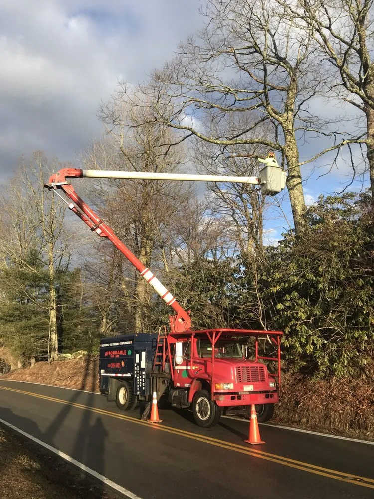 Professional landscape installation for beautiful yards across Burnsville, NC - Affordable Tree Care