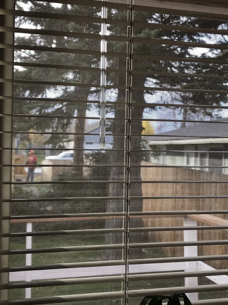 Local landscaping services experts serving Anchorage, AK - Affordable Tree Removal