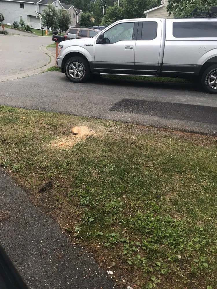 Trusted lawn mowing service for year-round maintenance in Anchorage, AK by Affordable Tree Removal