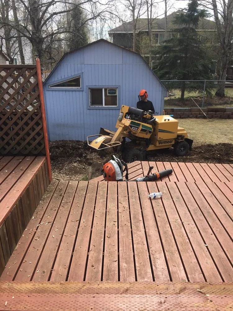 Local residential landscaping experts serving Anchorage, AK - Affordable Tree Removal