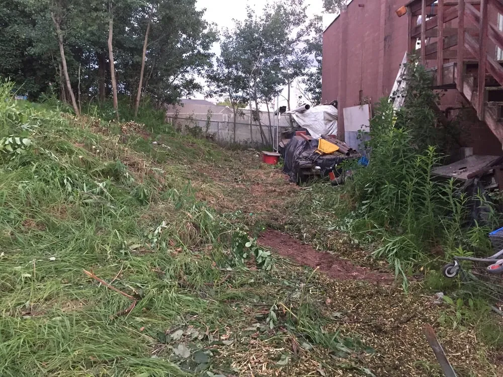 Affordable lawn mowing service experts serving Anchorage, AK - Affordable Tree Removal