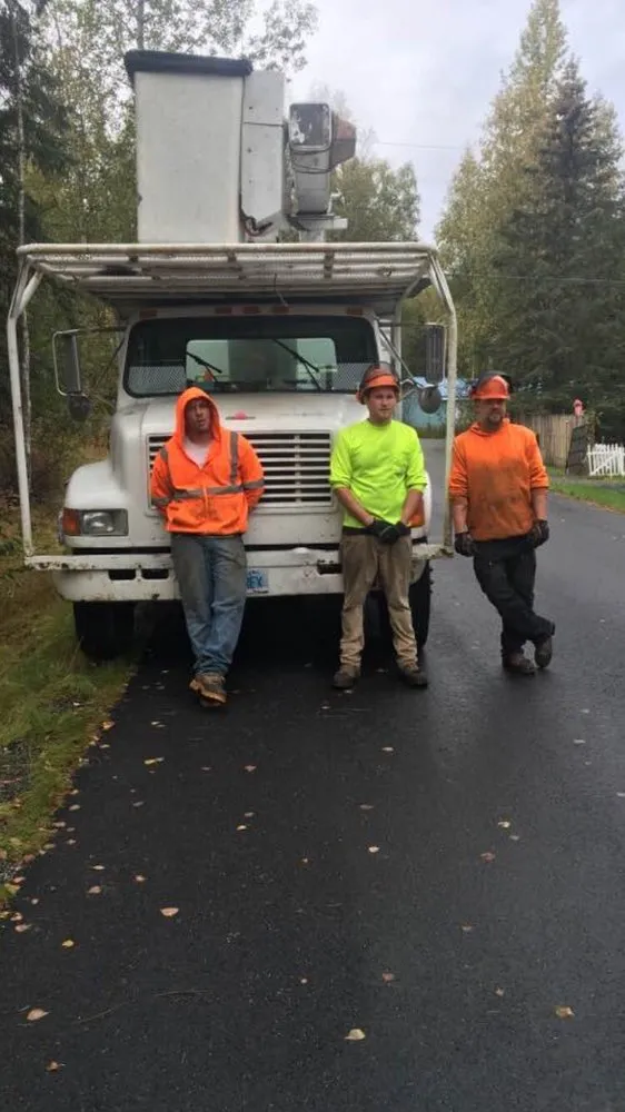 Local yard maintenance experts serving Anchorage, AK - Affordable Tree Removal