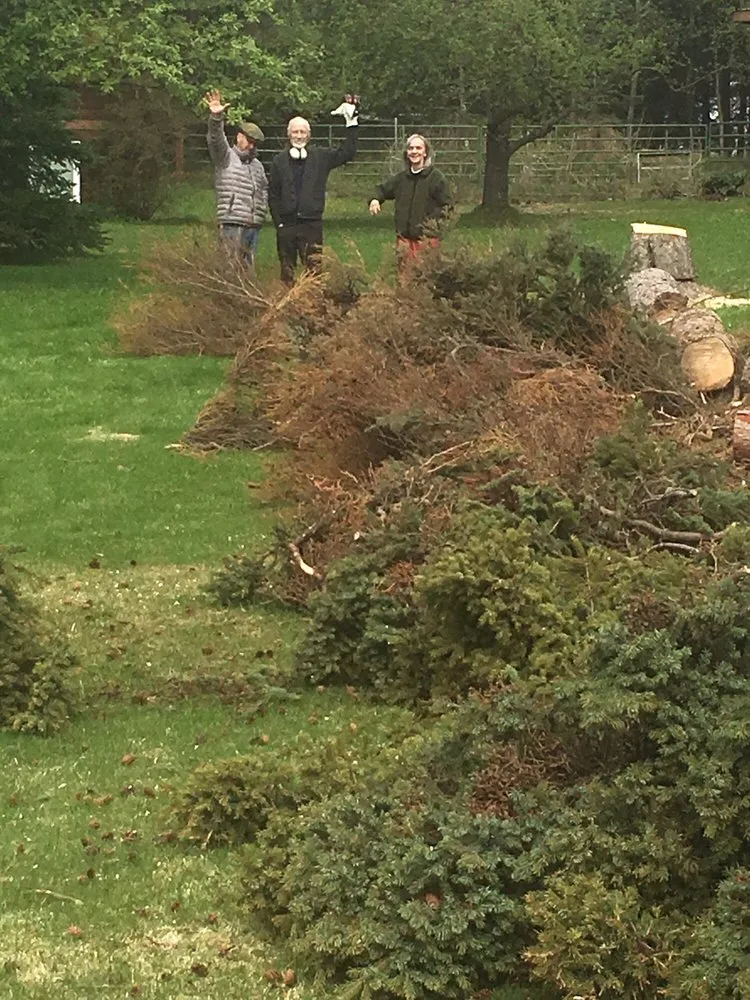 Expert yard cleanup service near you in Anchorage, AK by Affordable Tree Removal