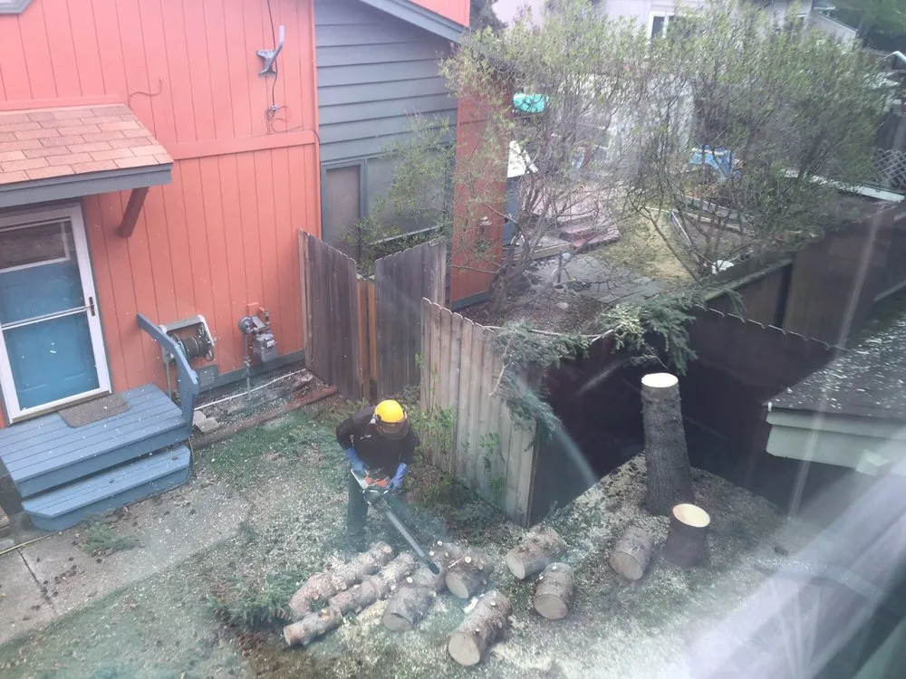 Professional garden landscaping experts serving Anchorage, AK - Affordable Tree Removal